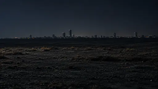 A distant low skyline of small dark towers with only a few lit windows sits on the horizon at night beyond a wide flat open dark plain.