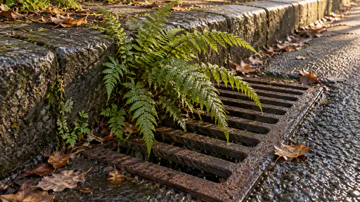 A lush fern with arching fronds crowds up through the edge of a rusty cast-iron drain grating beside a damp stone kerb with a few fallen leaves in soft shaded light.