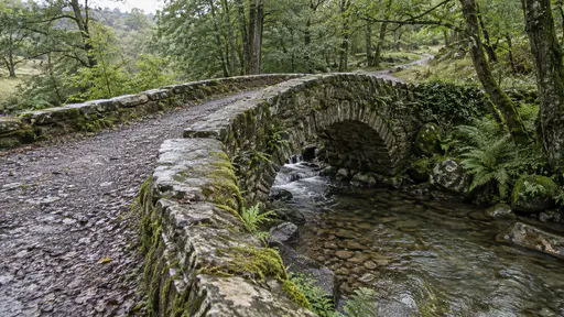 A small arched stone footbridge crosses a clear stream with a wide flat parapet worn smooth along one side, damp moss on the stones and ferns at the water edge in soft light after rain.