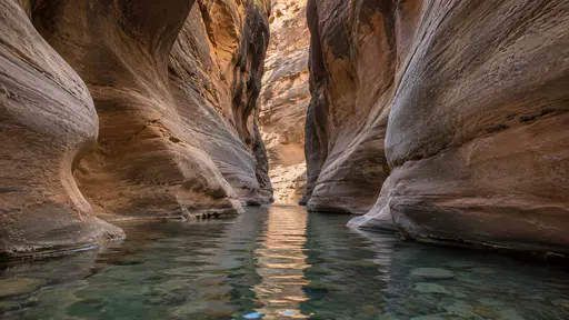A narrow river runs through a tight slot between smooth high canyon walls that nearly meet overhead, seen from within the slot at water level in soft reflected light.