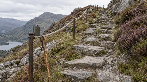 A thin rope strung through iron posts forms a handrail beside a steep stone path climbing between heather with a walking stick hanging from the rope's end loop and a small flask on the first post in bright hillside light.
