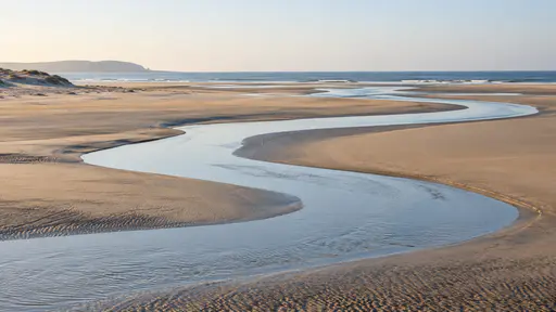 A shallow tidal channel of pale water winds in smooth curves through flat dry desert sand toward the distant sea in flat morning light.