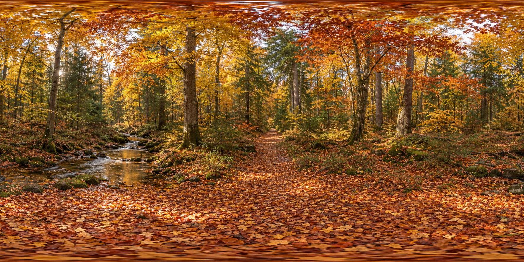 A full 360 degree equirectangular panorama from the centre of an autumn forest clearing with tall trees in gold and red leaves, a carpet of fallen leaves, a small stream and a path leading away.
