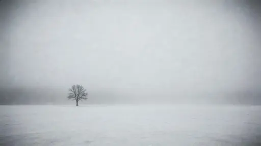 A minimal 16:9 cinematic winter landscape showing a single bare tree off-center in a foggy flat field, quiet and still with restrained monochrome tones.