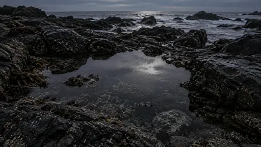 Dark beach rocks surround a shallow clear pool left by the surf on a night beach with the still water holding a pale reflection of the sky in low light.