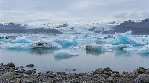 Pale blue icebergs of many sizes float still on a flat grey glacier lagoon in clear cold light, a white glacier tongue low on the far shore.