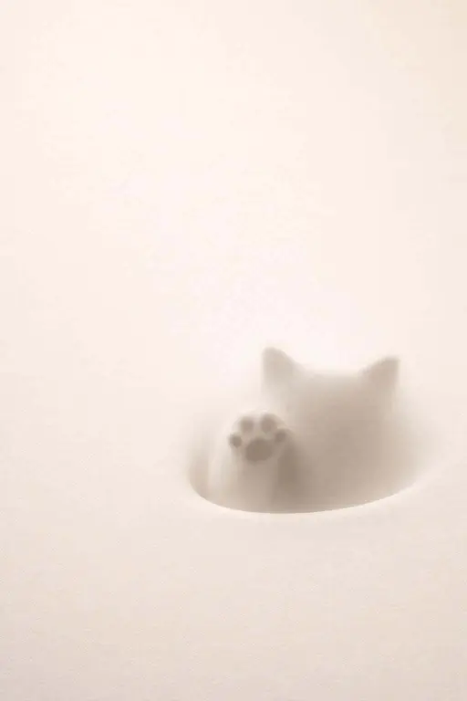 Portrait 2:3 composition of a pale warm gradient with fine texture, leaving the upper area calm and an implied rounded cutout in the lower-third showing a crisp cat paw shadow.