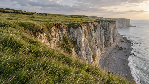 A cliff-top meadow of long green grass drops over a sheer edge to a grey shingle shore far below with the cliff line centred across the frame under diffuse overcast light.