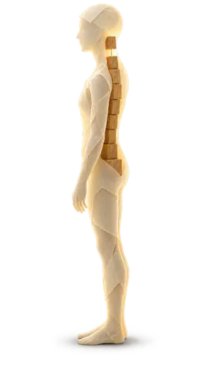 Confidence is a spine under construction. A translucent cream paper figure stands upright in profile; seen through the paper, a column of warm oak blocks stacks from pelvis to neck with the top block mid-settle, meaning self-belief grows through successive acts of support.