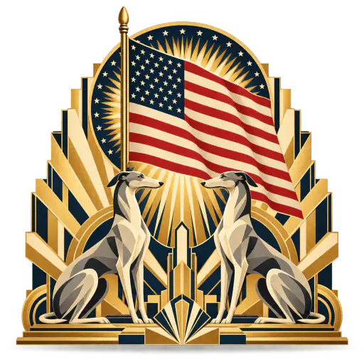 Deco poster centring a flag whose stripes become sunburst rays behind a star medallion. Thirteen stripes and a starry canton print neat.