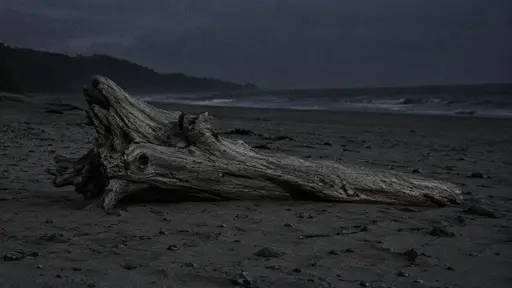 One large pale driftwood trunk lies lodged above the wash line on the upper night beach with its weathered side catching the dim sky light.
