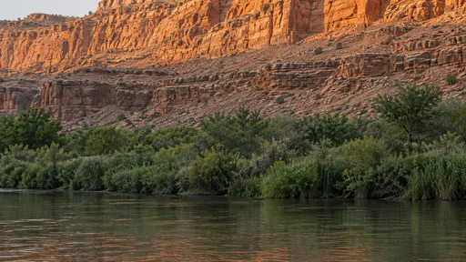 A dry stepped canyon wall of orange rock drops to a much greener riverbank of reeds and willows beside a slow river, the step line running across the frame in late golden light.