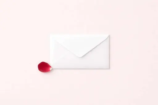 Minimalist 3:2 landscape flat lay of a pristine white envelope on a soft blush-pink background with a single red rose petal and ample negative space.