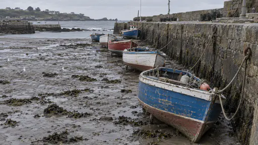 Small fishing boats leaning at different angles on grey harbour mud at low tide, slack mooring ropes to iron rings in a stone quay wall, gulls and seaweed, grey sky.