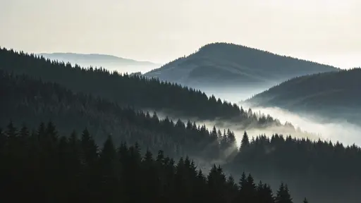 Wide 16:9 landscape photography of low fog rolling over pine-covered hills, soft layered depth and muted greens for a moody wallpaper composition.