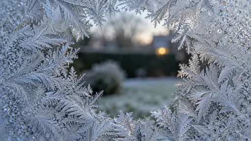 White frost fern crystals across a window pane from all four edges, a round clear patch in the middle showing a blurred garden and a warm yellow light.