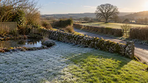 Frost retreats across a lawn in a patchwork of white and green with a sharp thaw line along the shaded foot of a lichen-covered stone wall and a lone field tree casting a long shadow in cold bright morning light.