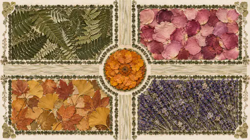 A garden seen from above as neat rectangular beds of pressed fern, rose petals, maple leaves and lavender with a round marigold bed at the centre.