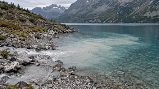 An inlet stream carries pale sediment into a mountain lake with a visible sediment plume spreading through the clear water near the mouth.