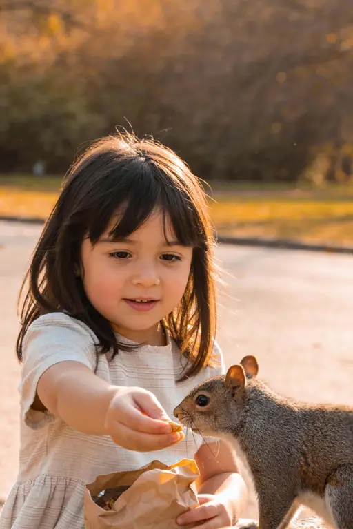 Little girl sharing snacks with a squirrel in a tender outdoor portrait, photographed in warm natural light and framed for a 2:3 children's-book cover or poster.