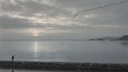 A long sea wall runs along the lower edge of a graphite-grey coast where a tiny solitary figure raises one arm, and across the upper sky a flock turns as a single dark ribbon diagonal kinking near the arm's angle over vast still water.