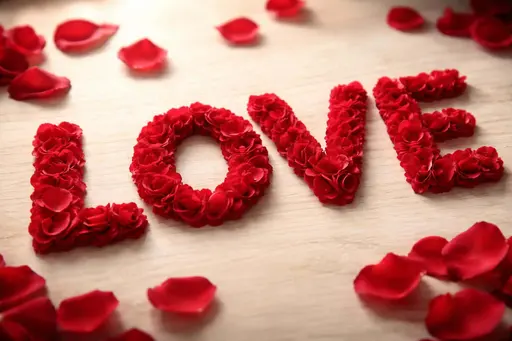 Cinematic macro of the word LOVE formed from hundreds of fresh red rose petals on a light wood surface in a centered 3:2 landscape with soft side-window light and scattered petals for a classic, romantic mood.