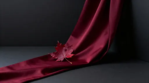 Refined still-life of a deep-crimson maple leaf (#8B0000) resting on oxblood fabric (#4A0E0E) across a charcoal field (#333333), with merlot accents (#7B1414) and warm edge sheen (#BC9A70), tight three-quarter framing and open negative‑type