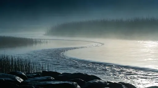 A 16:9 landscape photograph of a mist-shrouded river at dawn, captured with soft diffused light and calm reflections for a serene wallpaper-ready composition.