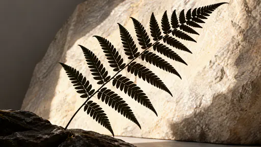 One single fern frond stands in dark silhouette against a pale sunlit rock face in strong backlight, every leaflet edge sharp.
