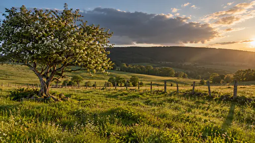 A rolling meadow under a clearing sky with one last dark cloud passing over the tree line, golden light moving across the grass, a hawthorn lit on one side and a fence casting long shadows in warm light.
