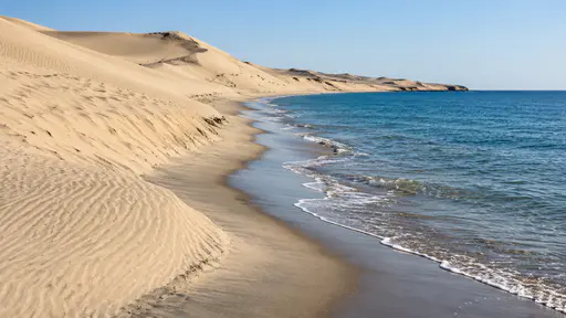 Pale desert dunes slope down and end directly at the edge of a calm blue sea in bright hard light, rippled sand meeting wet sand at the waterline.