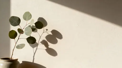 A minimalist 16:9 composition showing a crisp plant shadow cast across a smooth neutral wall, balanced for signage-free backgrounds and soft natural mood for editorial or branding use.