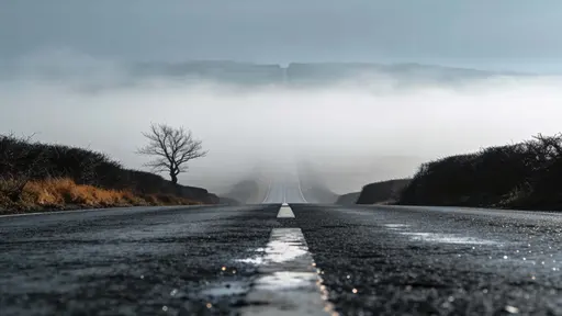 Lonely road photographed as a low-contrast landscape scene with misty atmosphere and wide 16:9 composition suitable for wallpaper or cinematic background usage.