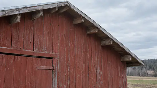 The roof ridge of a red barn crosses the top of the frame with the exposed structural edge of the rafters visible beneath it in clear light.