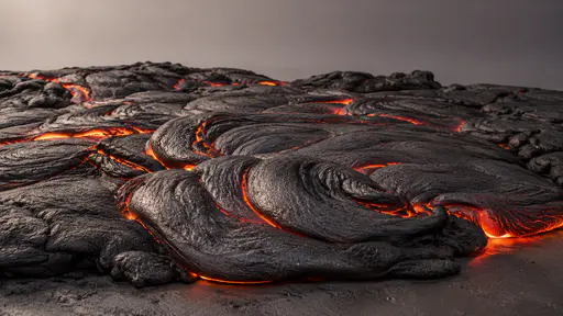 A broad cooling lava surface folds in smooth rope-like coils in soft even light, dull dark skin over faintly glowing seams.