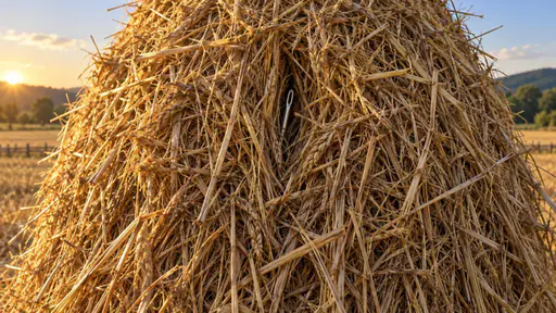 Needle in a haystack: a close frontal conceptual rural photograph of a tall haystack of golden straw under raking afternoon light, where a single oversized steel sewing needle lies embedded near the centre with only its small eye and a short gleaming shaft visible through a narrow gap between…
