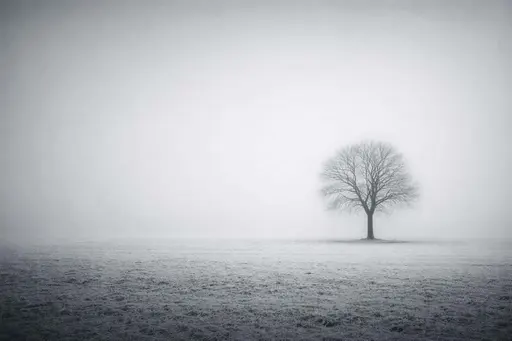 Minimal cinematic 3:2 widescreen landscape of a lone bare tree in a flat winter field shrouded in low fog, placed off-center and small to emphasize vast negative space and a still, quiet mood.