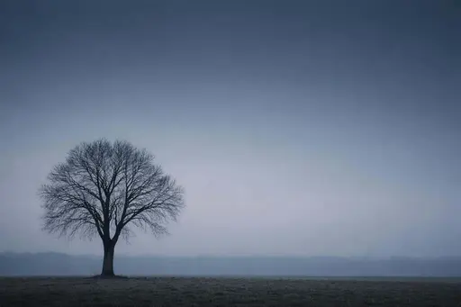 A minimalist 3:2 landscape photograph of a solitary tree set low in the frame with expansive sky, framed and cropped for wallpaper or poster use with calm tonality.