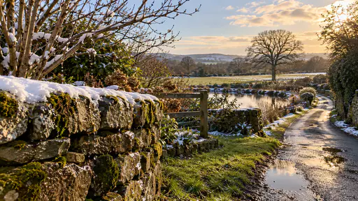 A thin remainder of snow clings only to the top of a lichen-covered stone wall and the crowns of bare branches while the ground below has cleared to wet grass and dark soil with drips and small puddles on the lane in bright melt light.