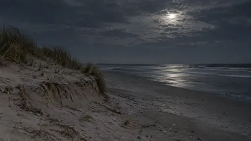 The low grassy edge of a dune meets the flat night beach with the sand dropping in a soft step to the firm wet strip below under an open night sky.
