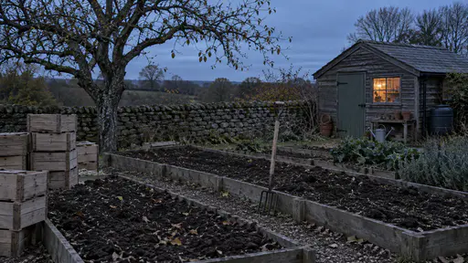 Empty dug garden rows lie dark beside neat stacks of wooden crates with a fork in the soil, a nearly bare apple tree and a green-doored potting shed with one lit window glowing warm at blue hour.