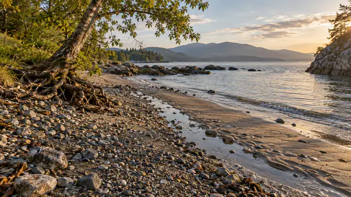 The water level drops and the first shallow channel cuts through damp sand between the shingle and the retreating water with a thin shine in its bed under low raking light and the pale-barked tree standing higher above.