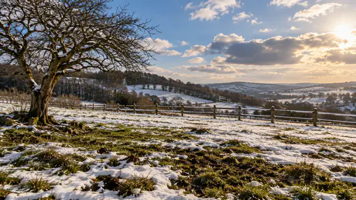 A rolling meadow is half-thawed with dark melt patches of wet earth and green grass showing through white snow, a dripping hawthorn, snow on the fence rails and a sky of blue gaps and cloud in bright broken light.