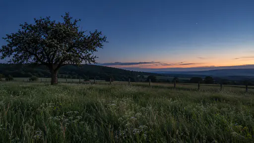 A rolling meadow settles at blue hour in calm still air with upright motionless grass, a hawthorn silhouette, soft blue-grey tree line and fence posts and a deep blue sky with one faint star above a pale horizon glow.