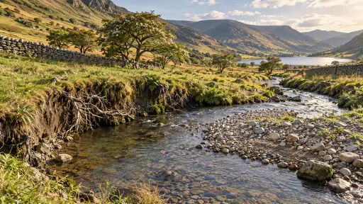 A stream makes a sharp bend on a mid-slope cutting into a grass bank on the outside of the curve and exposing pale roots with a gravel bar building on the inside in soft morning side light.