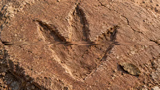 A three toed dinosaur footprint is pressed into pale red mudstone with mud cracks and a small fallen leaf while one narrow horizontal band of rows drifts sideways and wraps.