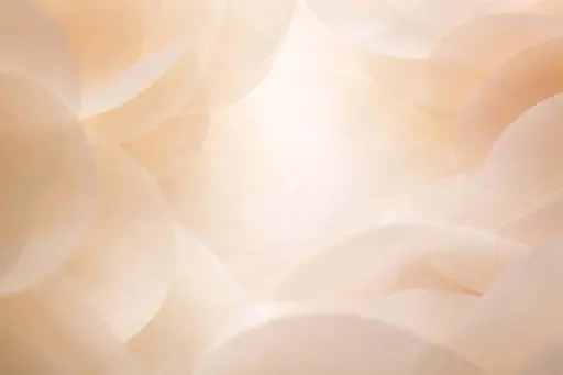 Macro study of layered translucent vellum in 3:2 landscape, showing soft, semi-transparent petal-like forms in cream, pale peach and champagne with glowing subsurface scattering.