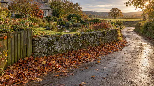 Wet autumn leaves blown into long windrows against the foot of a lichen-covered stone wall and a wooden fence corner with a fresh sheen on them and a few pressed flat on the damp lane in low clearing light.